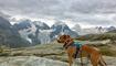 Corvatsch Engadin