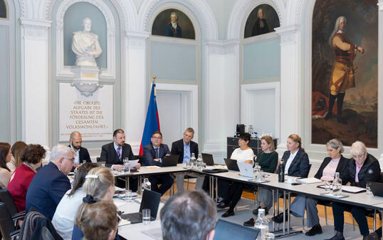 Runder Tisch Gesundheitswesen, Vaduz