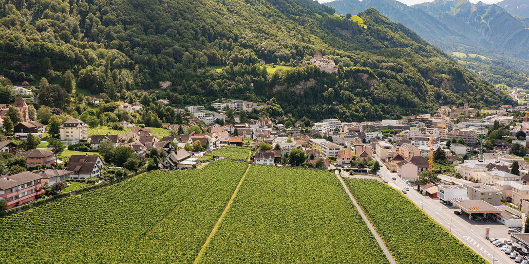 Hofkellerei Vaduz