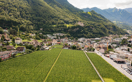 Hofkellerei Vaduz