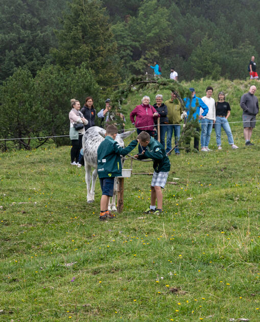 Eselfest in Malbun