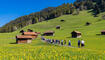 10. Sagenfest in Triesenberg (01.05.2025)