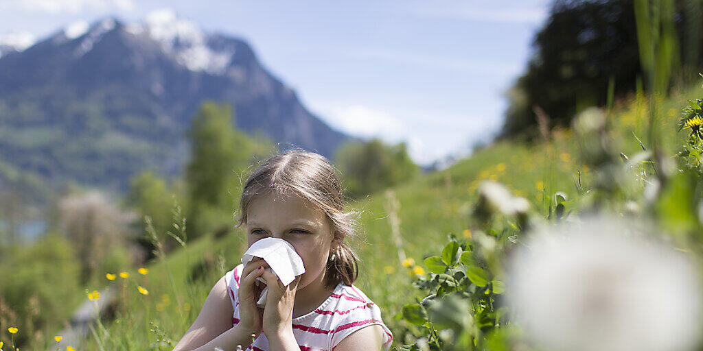 Vor allem die Gräserpollen sorgten in diesem Jahr für allergische Reaktionen wie Heuschnupfen. (Symbolbild)