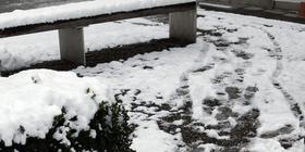 Schnee