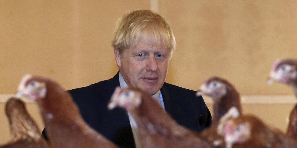 Der britische Premierminister Boris Johnson beim Besuch einer Hühnerfarm in St. Brides Wentlooge in Südwales. (Archivbild)