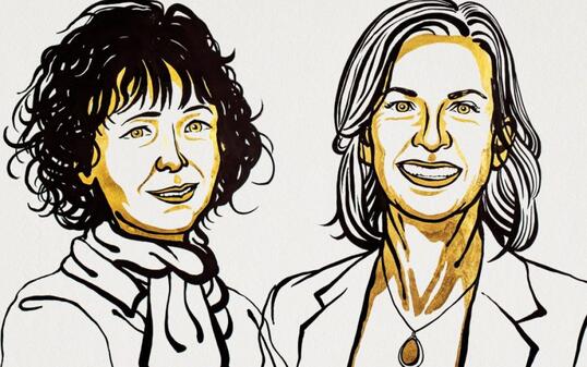 Emmanuelle Charpentier und Jennifer Doudna werden für ihre Erkenntnisse zur sogenannten "Gen-Schere" geehrt.