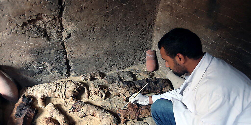 In einer Nekropole haben Archäologen in Ägypten mehr als 3000 Jahre alte Katzenmumien entdeckt.
