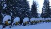 Die schönsten Ski- und Winterfotos 2018/19