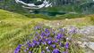 Fünf-Seen-Wanderung im Pizol