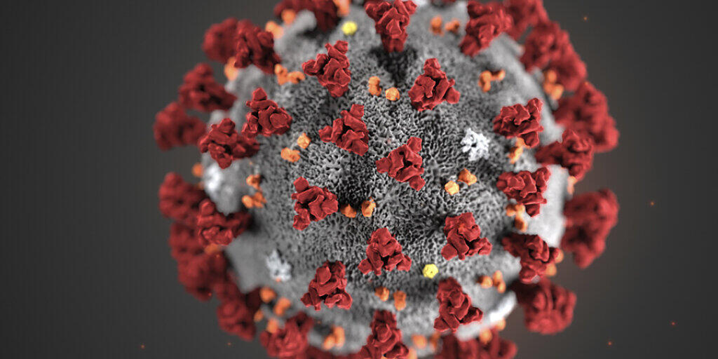 Dieser Krankheitserreger sorgt derzeit für weltweite Aufregung: Nun hat auch Australien wegen des Coronavirus Massnahmen ergriffen. (Themenbild) Dieser Krankheitserreger sorgt derzeit für weltweite Aufregung: Nun hat auch Australien wegen des Coronavirus Massnahmen ergriffen. (Themenbild)