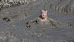 LieMudRun in Ruggell