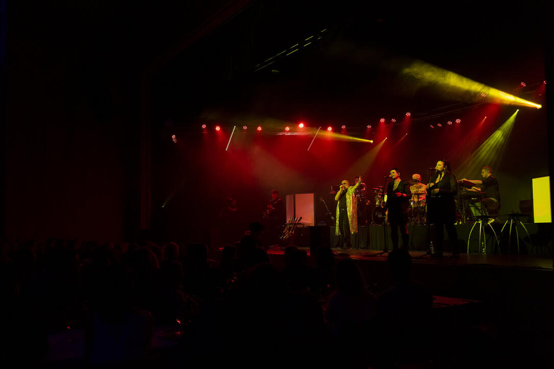 Rock House in Schaan