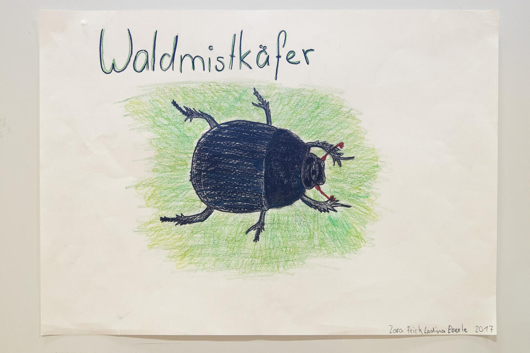 Präsentation Umweltkalender 2018 in Balzers