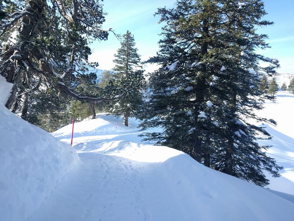 Die schönsten Ski- und Winterfotos 2018/19