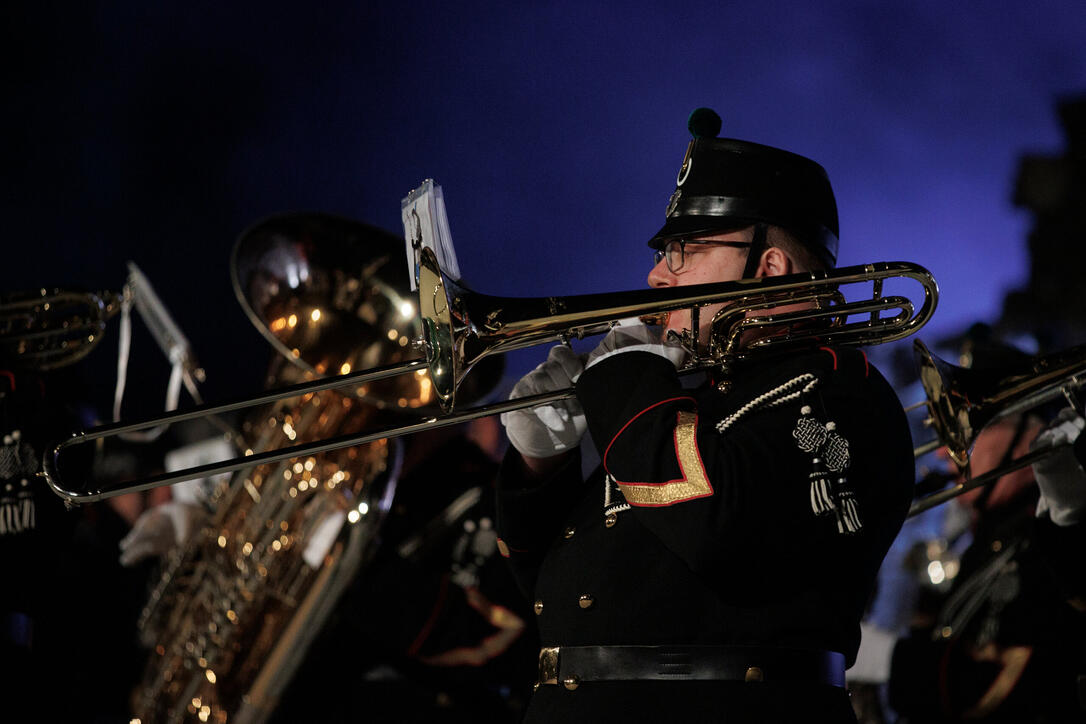 The Princely Liechtenstein Tattoo in Schellenberg