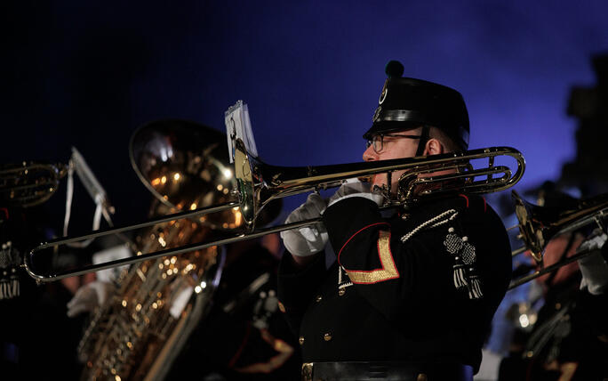 The Princely Liechtenstein Tattoo in Schellenberg