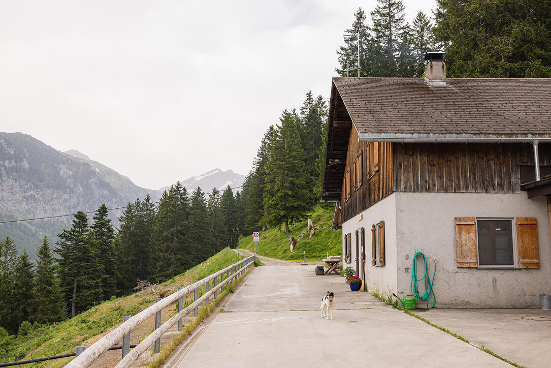 Wanderung: Steg - Alpeti - Pfälzerhütte - Malbun