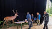 Waldtage in Schaan (23.09.2023)