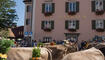 Alpabfahrt in Mels