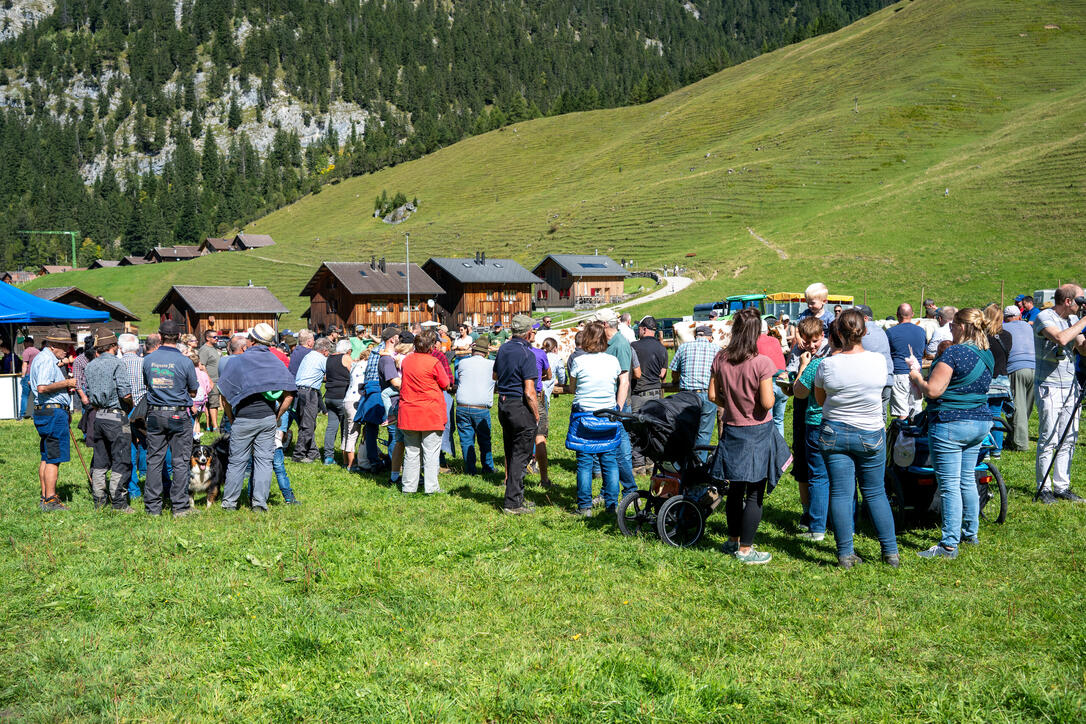 Stäger Breemimarcht, im Steg (20.09.2025)