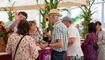 Liechtensteiner Winzerfest, Vaduz