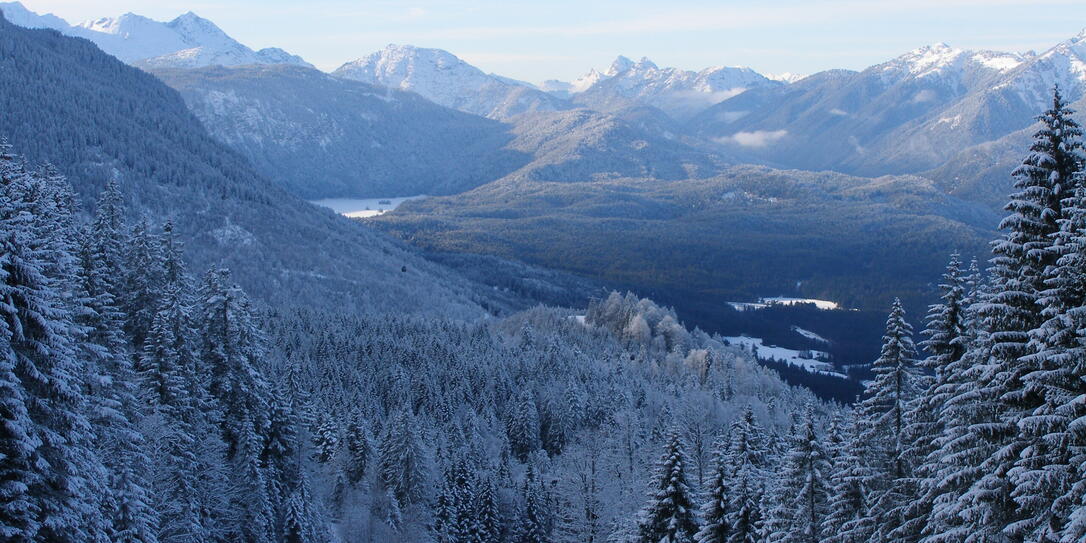 Von der Kandahar-Abfahrt blickt man in das Tal, das wie ein schwarzes Loch wirkt.