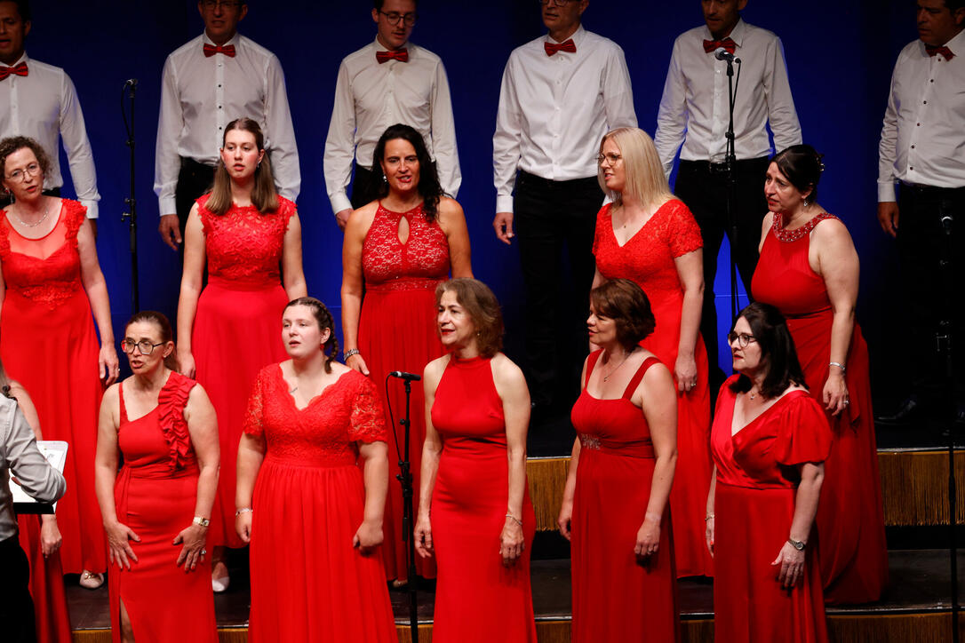 Jubil&auml;umskonzert &laquo;30 Jahre Divertimento Chor&raquo;. 20.06.2026.