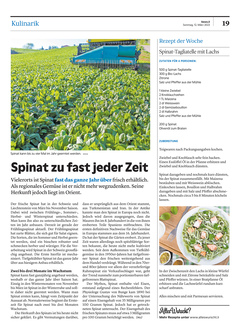Seite 019 Seite 019