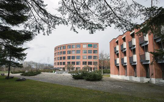 Gymnasium Vaduz Provisorium Schule 150225