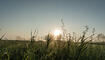 #näherdran-Fotowettbewerb Ruggell