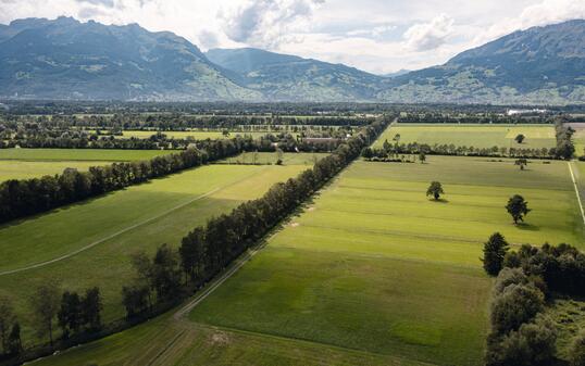 230728 Scheidgraben in Schaan