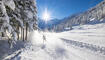 Winter in Steg