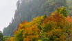 Herbst im Land