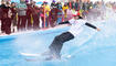 Waterslide Malbun