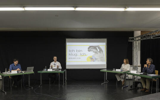 Präsentation TAK, Schaan