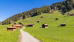 11. Sagenfestin Triesenberg (01.05.2026)