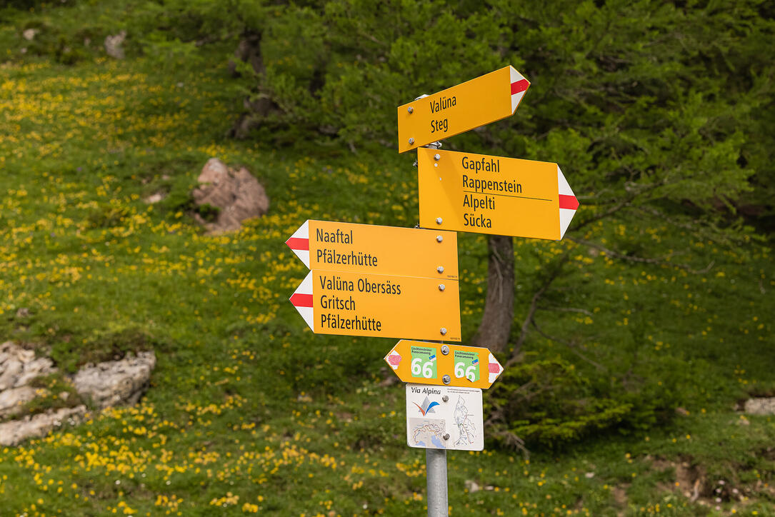 Wanderung: Steg - Alpeti - Pfälzerhütte - Malbun