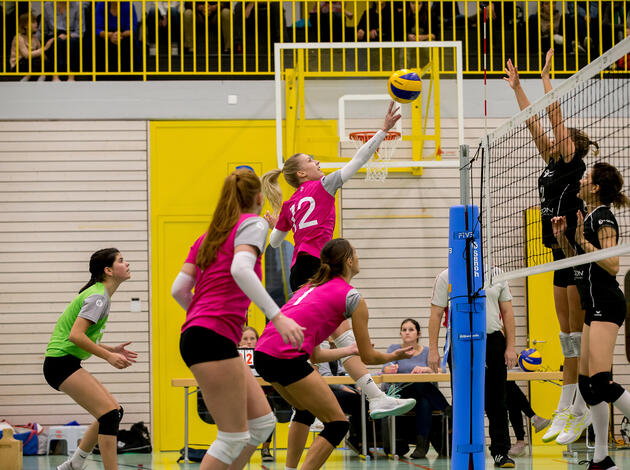 Volleyball: VBC Galina gegen Wittenbach Volleyball: VBC Galina gegen Wittenbach