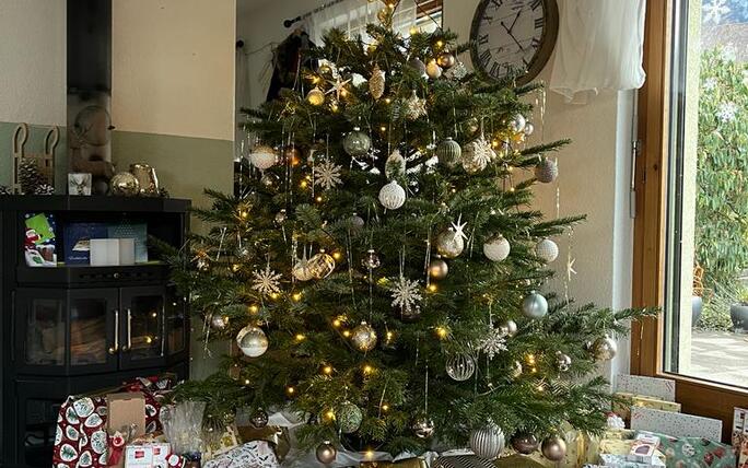 Lawena Christmas Tree