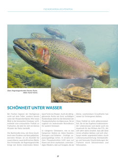 Seite 037