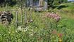 #näherdran-Fotowettbewerb Ruggell