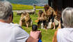 10. Sagenfest in Triesenberg (01.05.2025)