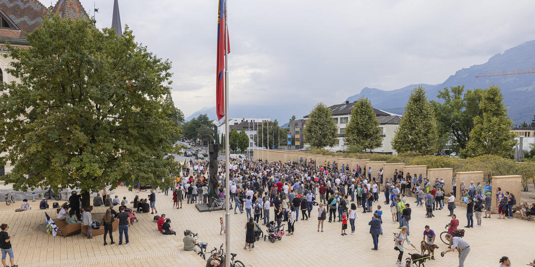 Corona Demo in Vaduz