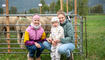 Herbstmarkt Sevelen (10.10.2026)