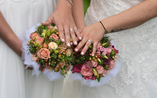 GLEICHGESCHLECHTLICHE BEZIEHUNG, GLEICHGESCHLECHTLICHES PAAR, GLEICHGESCHLECHTLICH, GLEICHGESCHLECHTLICHKEIT, HOMOSEXUELLE BEZIEHUNG, HOMOSEXUELLES PAAR, HOMOSEXUELL, HOMOSEXUALITAET, BEZIEHUNG, GAY, LGBTQIA+, LGBTQIA, LGBTQI, LGBTQ, LGBT, LGB, LSBTIQ, LSB