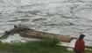 Hochwasser Rhein
