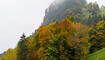 Herbst im Land