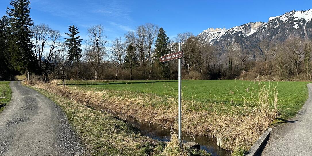 Mögliches Grundstück Windrad Ruggell