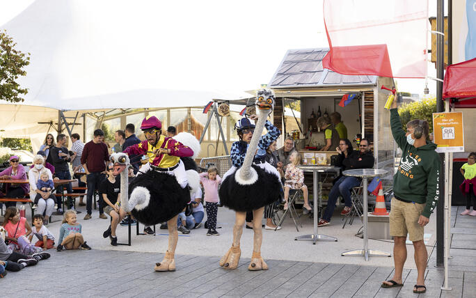 5. Buskers in Vaduz