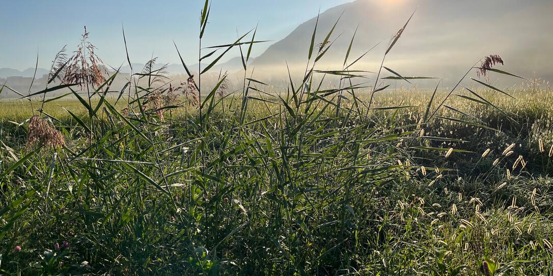 Herbst, Wetter, Sonne, September